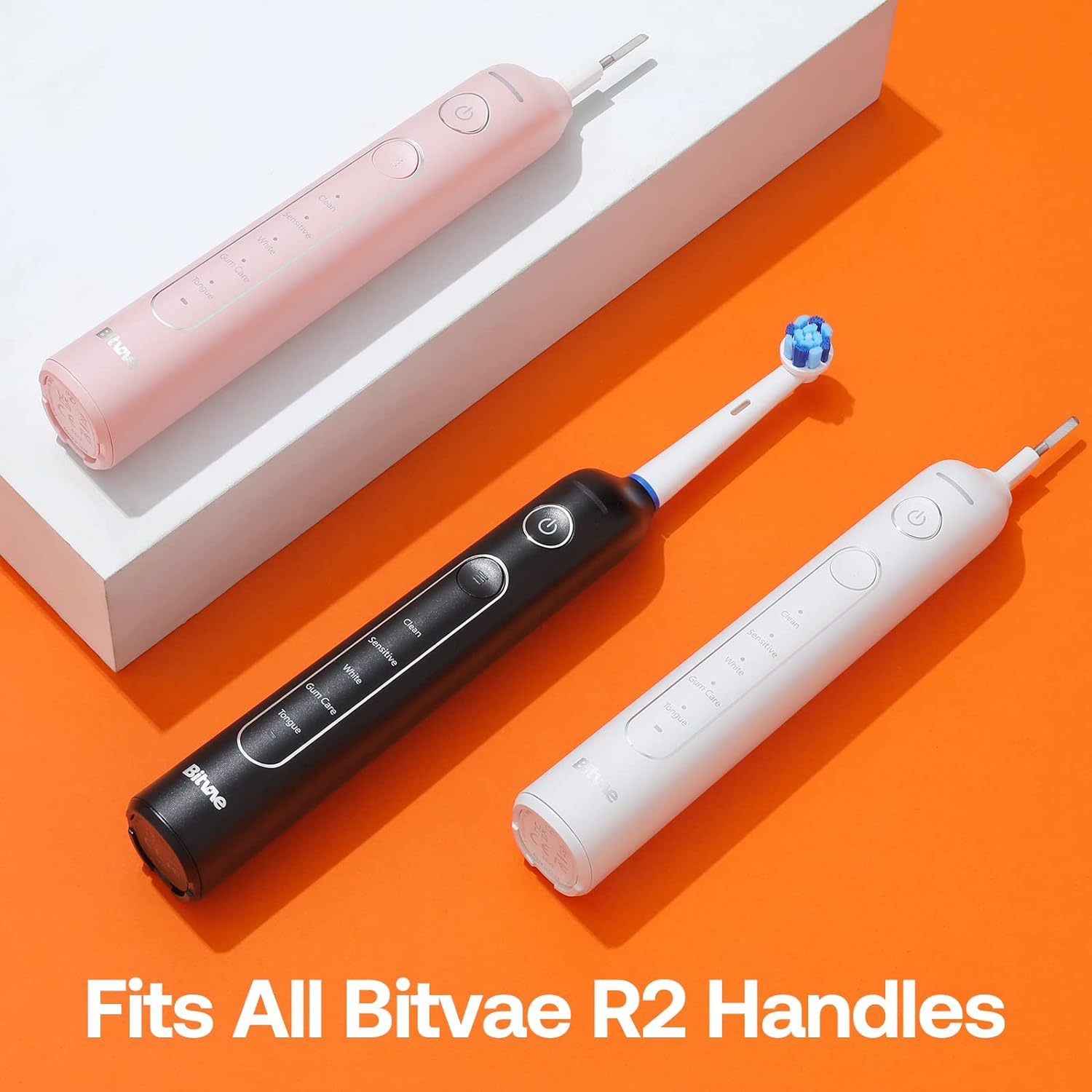Bitvae Têtes de Brosse R2 X5