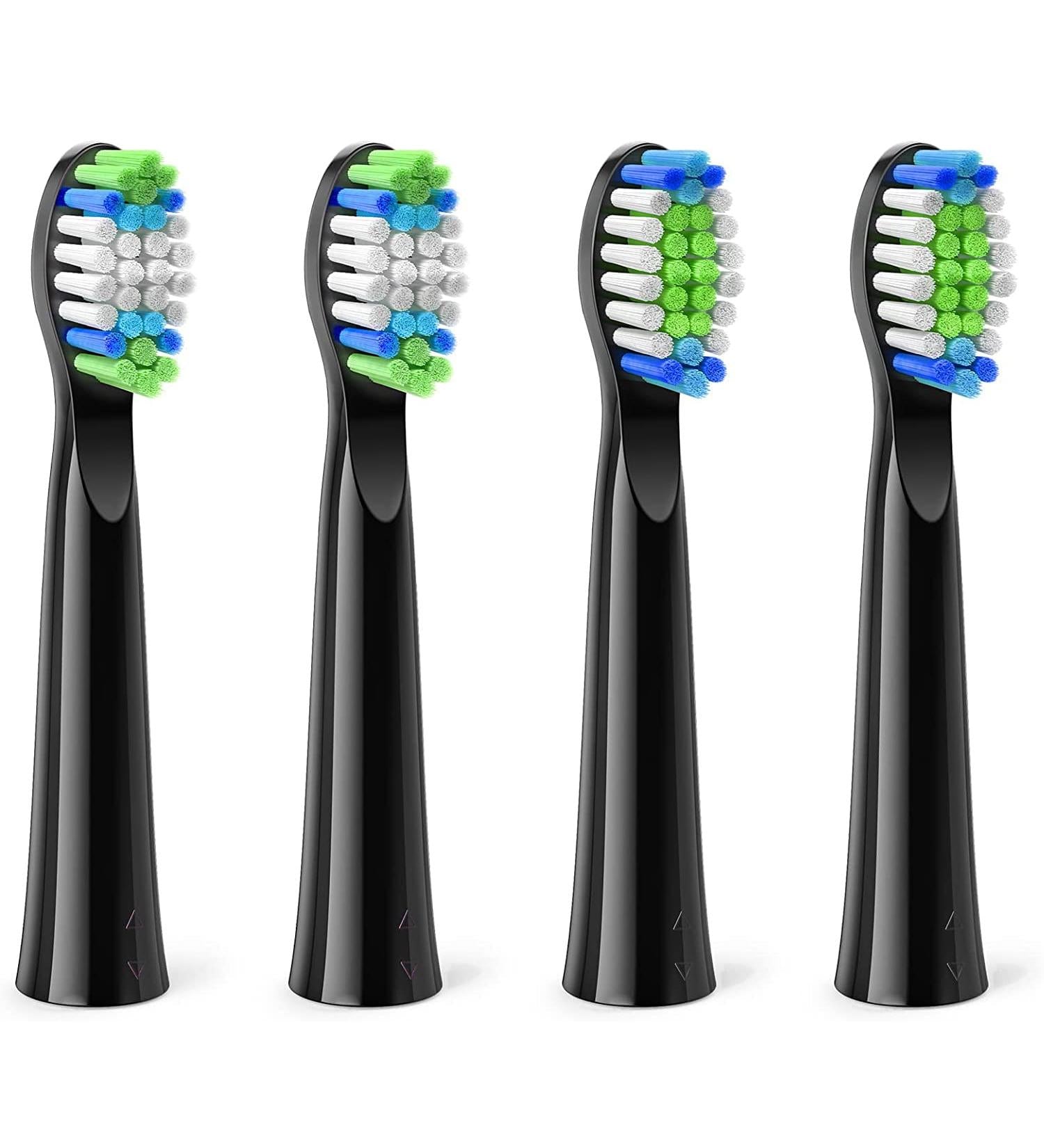 Bitvae Têtes de Brosse D2 X4