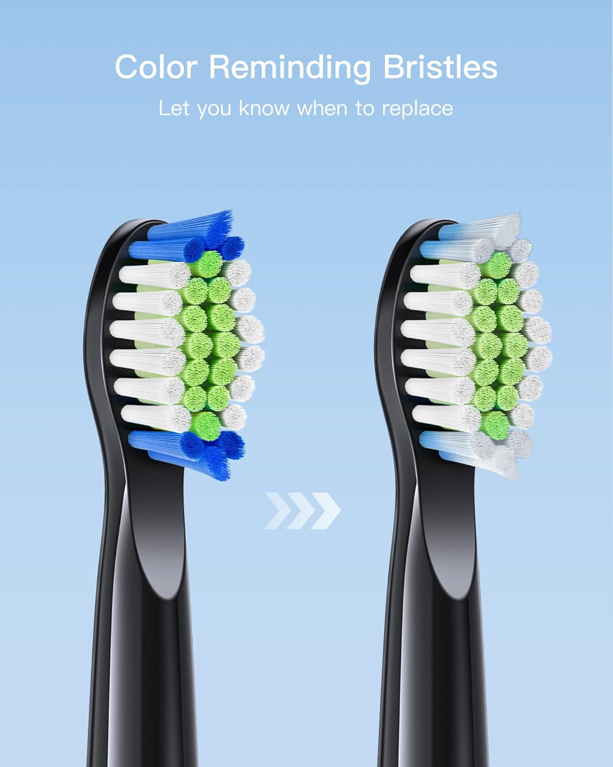 Bitvae Têtes de Brosse D2 X4
