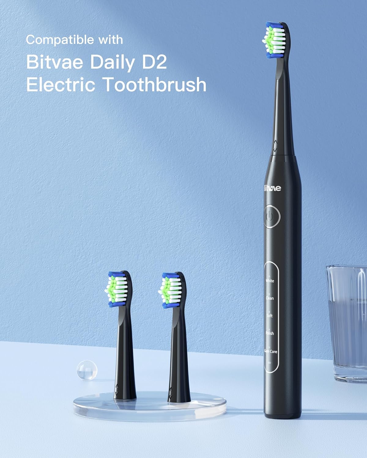 Bitvae Têtes de Brosse D2 X4