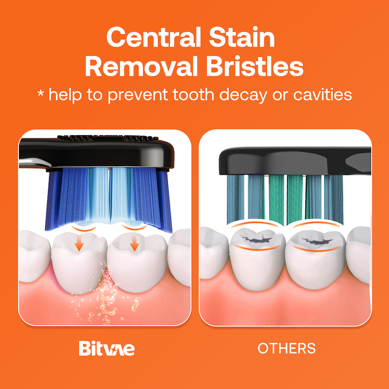 Bitvae S3 Brosse à Dents électrique Sonique Intelligente avec étui de Voyage