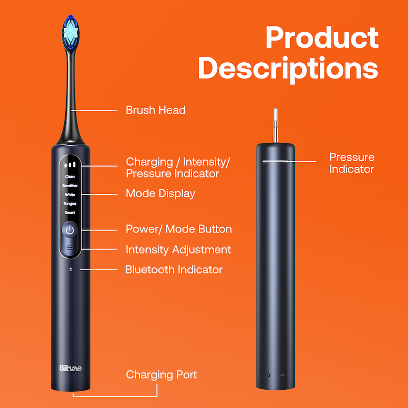 Bitvae S3 Brosse à Dents électrique Sonique Intelligente avec étui de Voyage