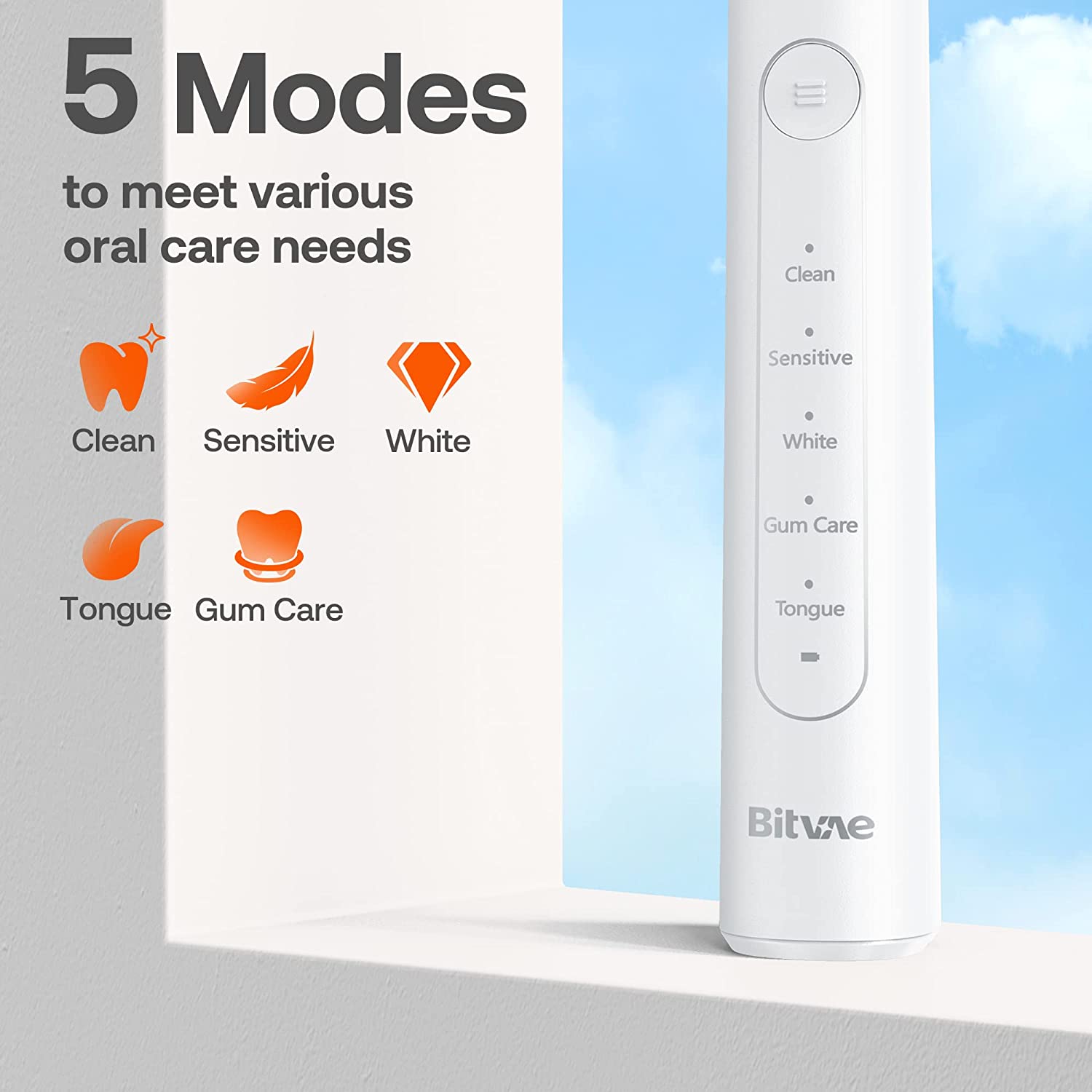 Bitvae R2 Brosse à Dents électrique Rotative avec 8 Têtes de Brosse