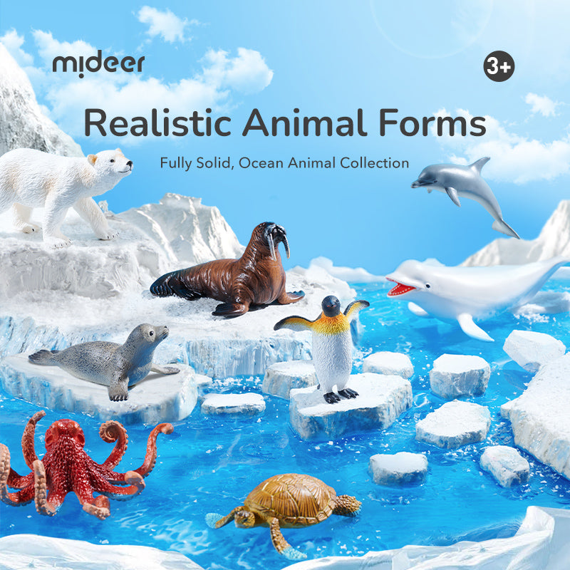 Mideer Coffret de Figurines Animaux Marins : 11 Pièces