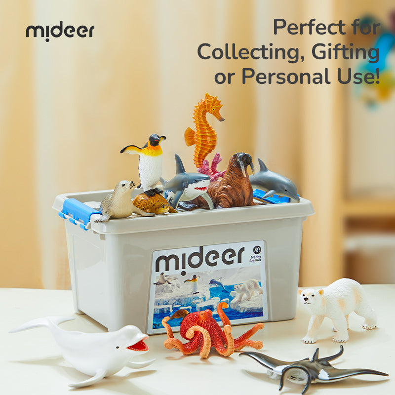 Mideer Coffret de Figurines Animaux Marins : 11 Pièces