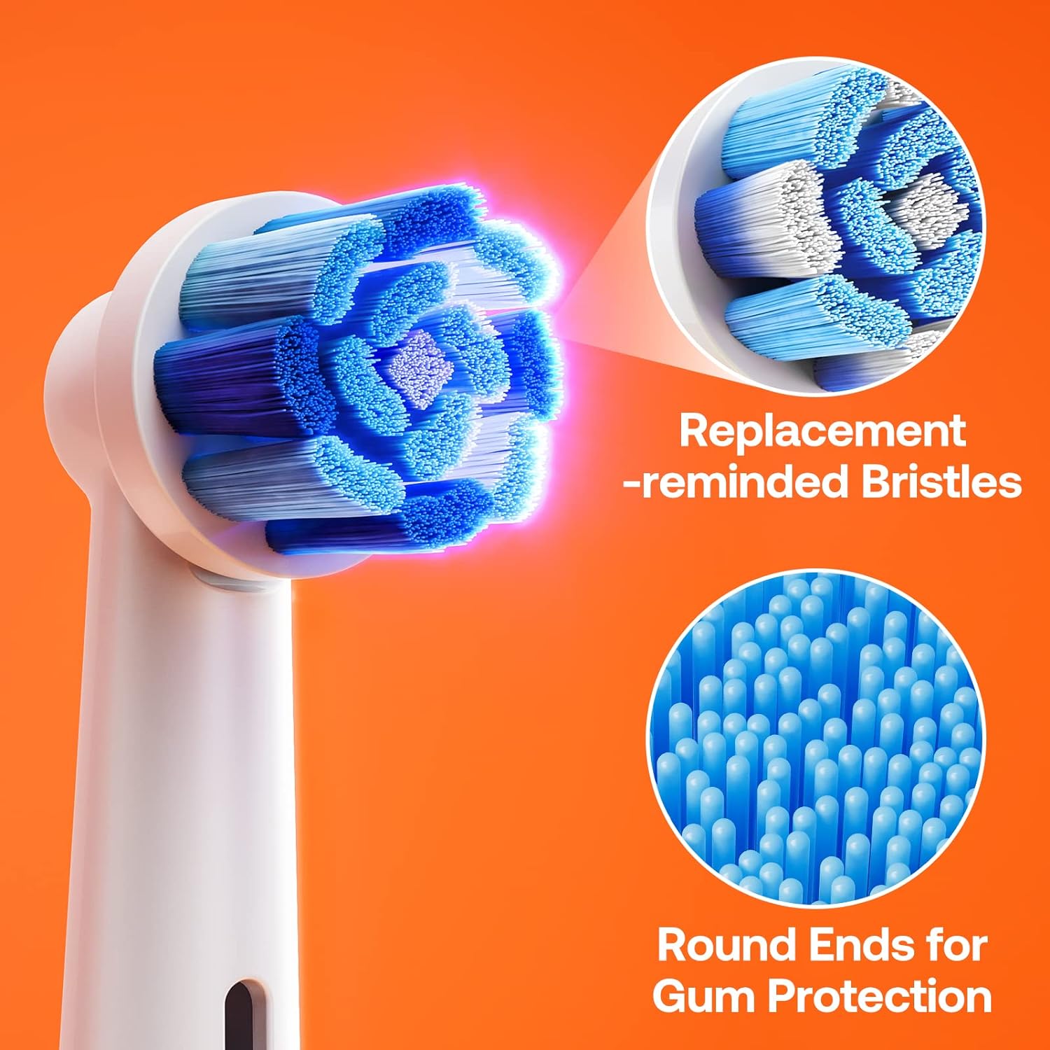 Bitvae Têtes de Brosse R2 X5