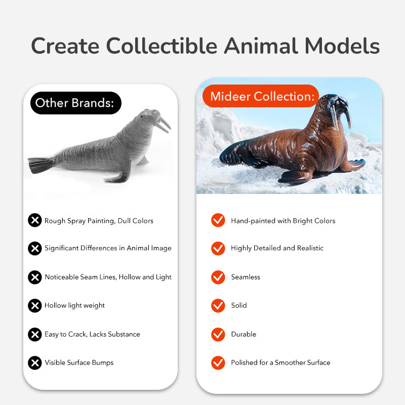 Mideer Coffret de Figurines Animaux Marins : 11 Pièces