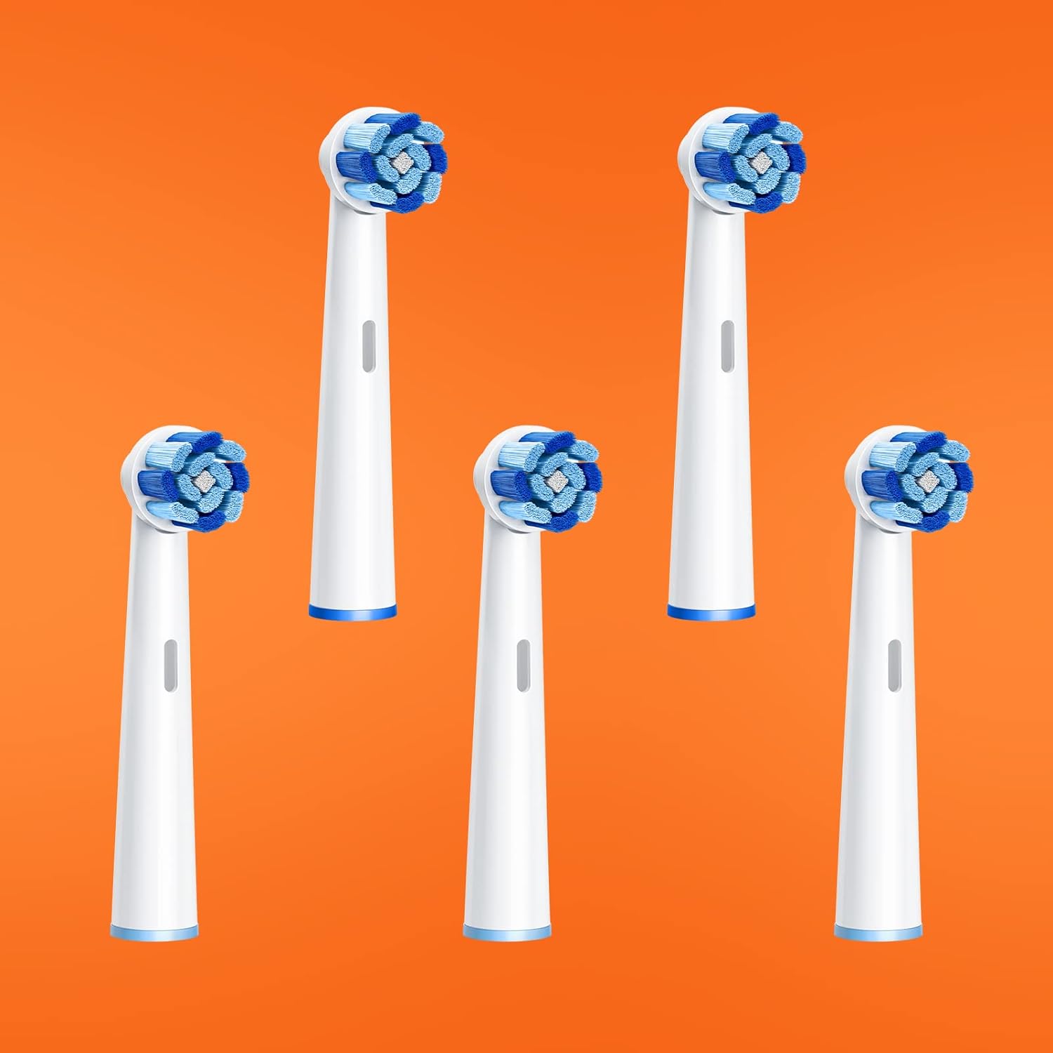 Bitvae Têtes de Brosse R2 X5