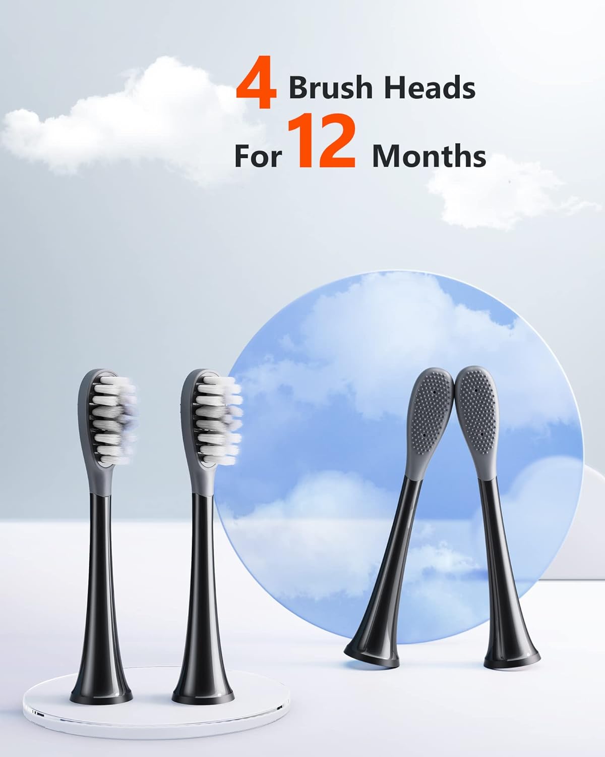 Bitvae Têtes de Brosse S2/S3 x4