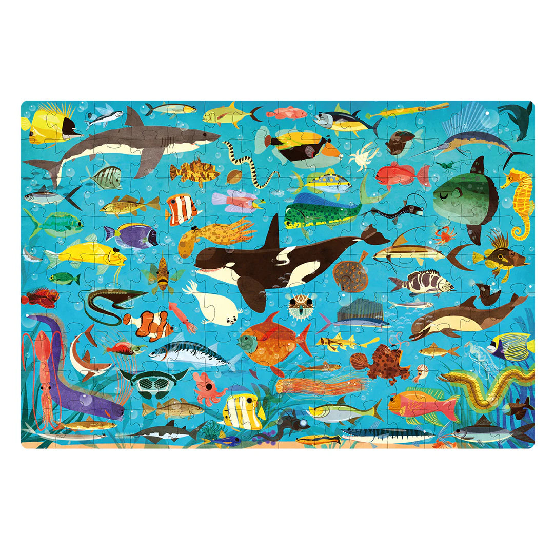 Mideer Let's Learn Puzzle: Ocean Trip 126P