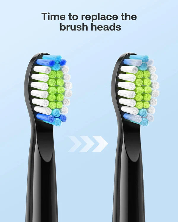 Bitvae D2 Pack, 2 Brosses à Dents électriques Noir et Blanc, Ultrasonique avec 8 Têtes de Brosse